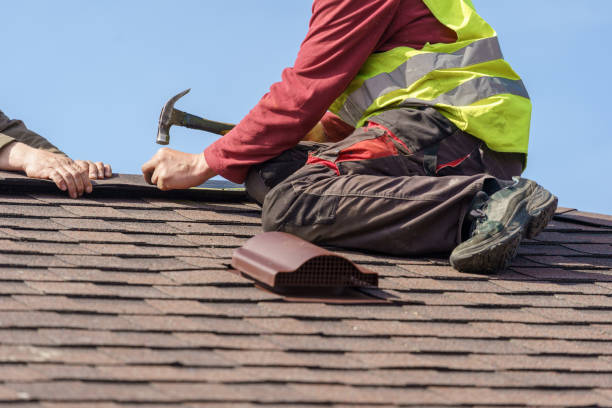 Best Roof Leak Repair  in Cole Camp, MO