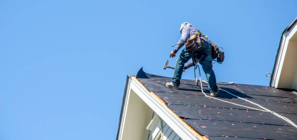 Best Metal Roofing Contractor  in Cole Camp, MO